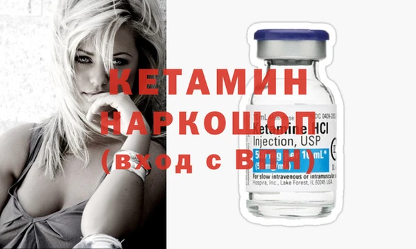 стаф Богданович