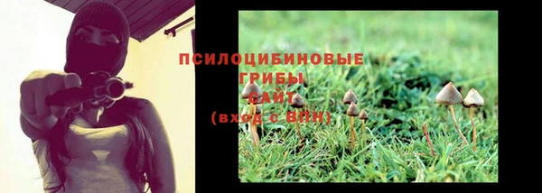 марихуана Богородицк