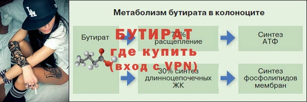 стаф Богданович