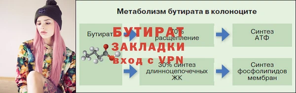 стаф Богданович