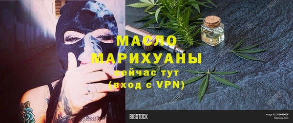 стаф Богданович
