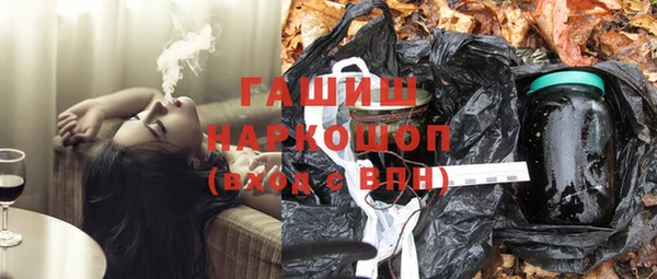 стаф Богданович