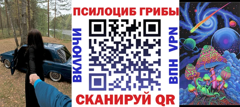ссылка на мегу ONION  Тамбов  Псилоцибиновые грибы мицелий 